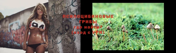 прущая мука Гусиноозёрск