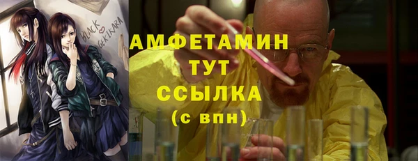 амф Горняк