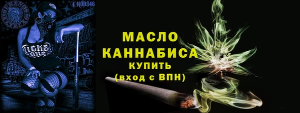 амф Горняк