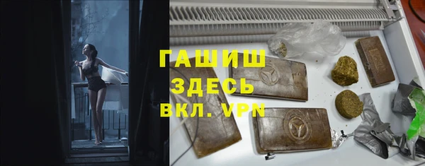 амф Горняк