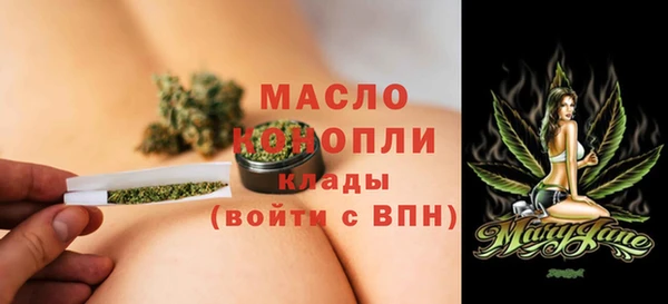 амф Горняк