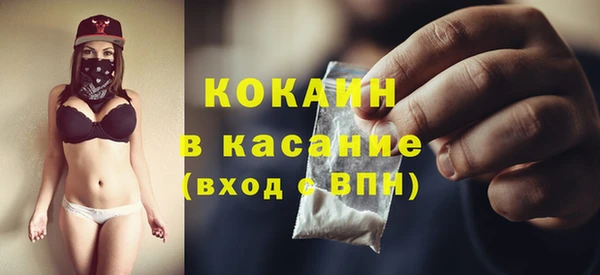 амф Горняк