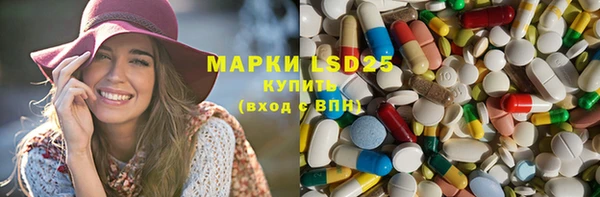 амф Горняк