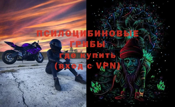 spice Гусев