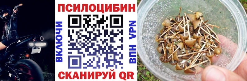 Купить где  Николаевск  Псилоцибиновые грибы GOLDEN TEACHER 
